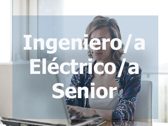 Ingeniero/a Eléctrico/a Senior (Sector Oil&Gas)