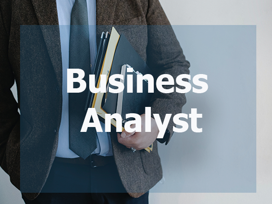 Business Analyst