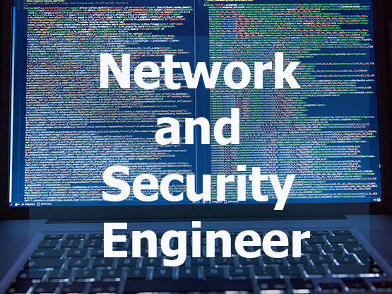 Ingeniero/a de redes y seguridad