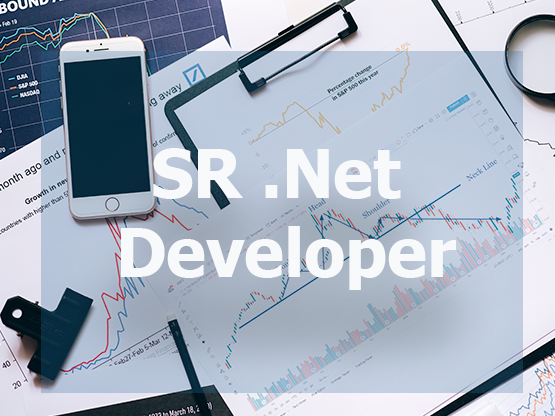SR .Net Developer