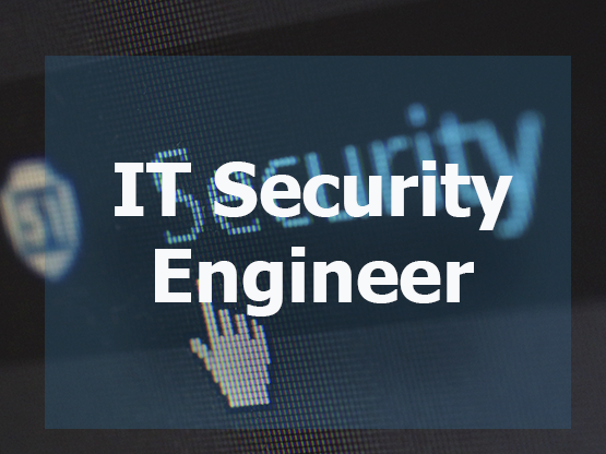 IT Security Engineer 