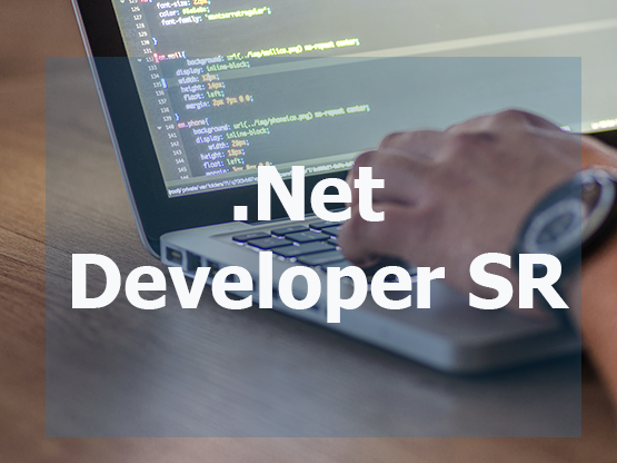 .Net Developer SR