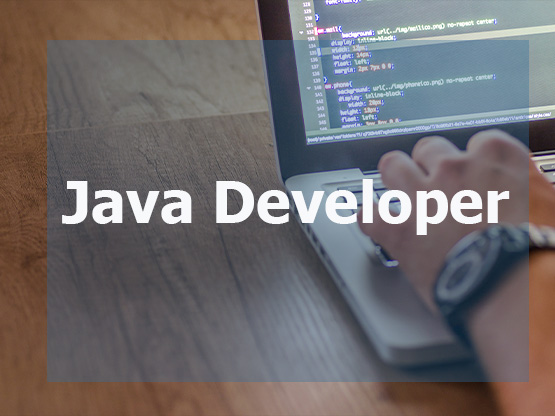 Java Developer 
