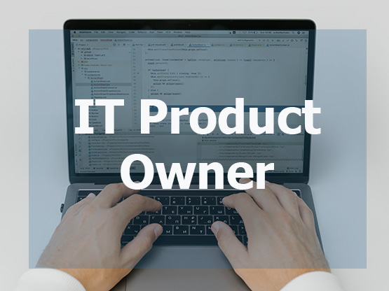IT Product Owner