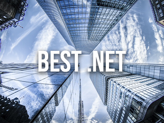 Best .NET Project Managers / Architects /Analysts
