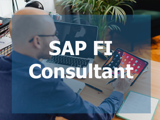 Consultor SAP FI 