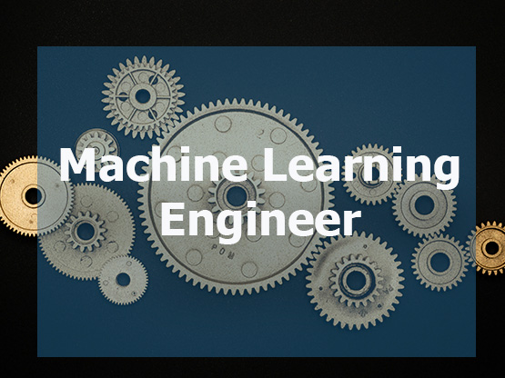Machine Learning Engineer