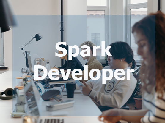 Spark Developer 