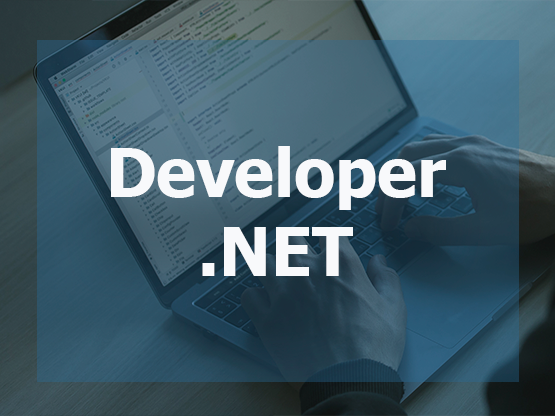 Developer .NET