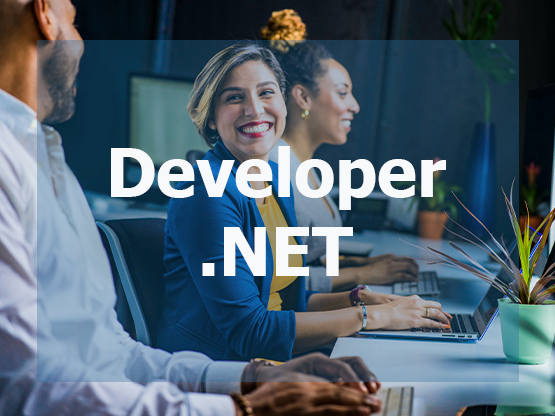 Developer .NET