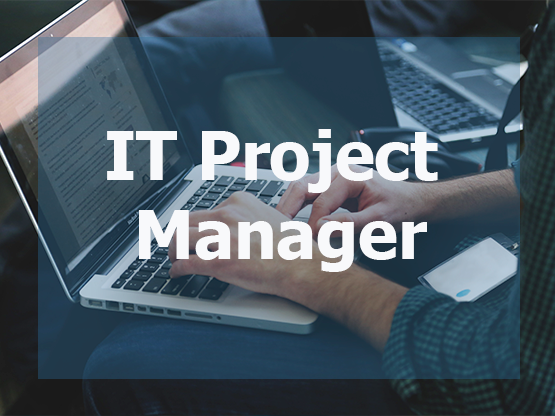 IT project manager