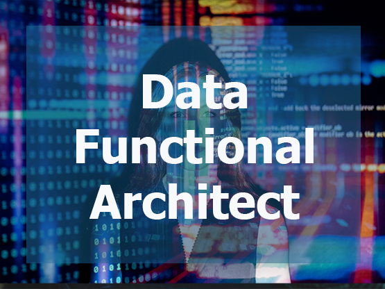 Data Functional Architect