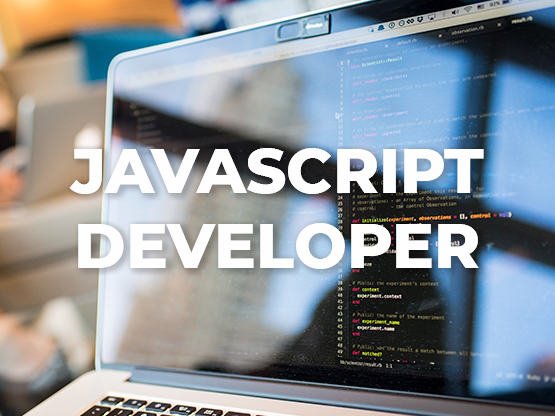 Javascript Developer