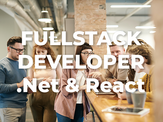 Fullstack Developer .Net/React