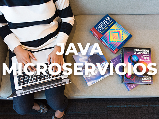 Java Microservicios 