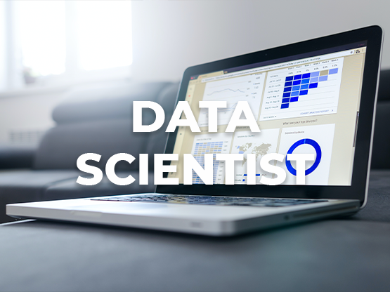 Data Scientist 